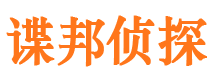 新青市私家侦探